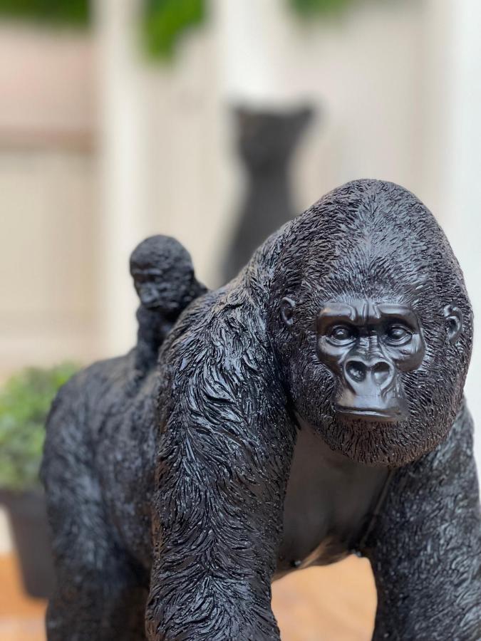 Tous'O'Zoo, Au Coeur Du Centre-Ville Saint-Aignan  Dış mekan fotoğraf